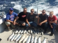 fish pic