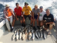 fish pic