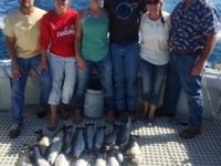 fish pic